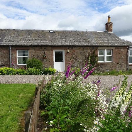 Incheoch Farm Cottage Kilry Ngoại thất bức ảnh