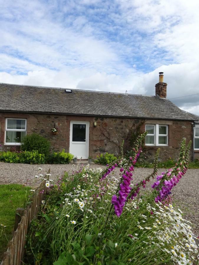 Incheoch Farm Cottage Kilry Ngoại thất bức ảnh